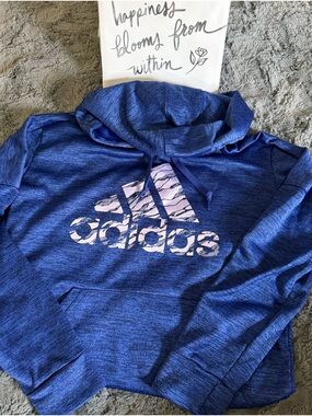 adidas Blue/purple Hoodie with light purple Logo